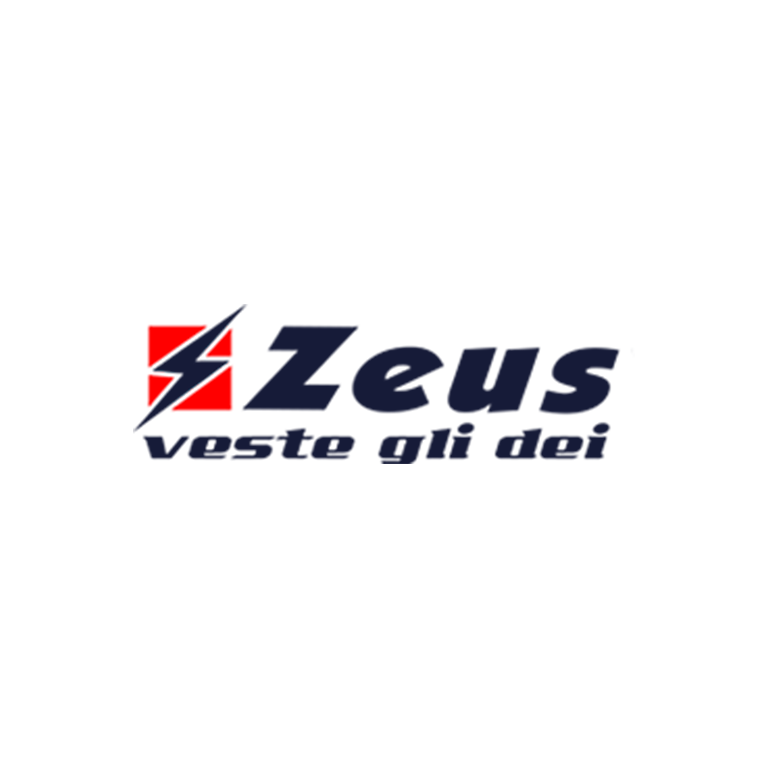 Logo Zeus - Sito